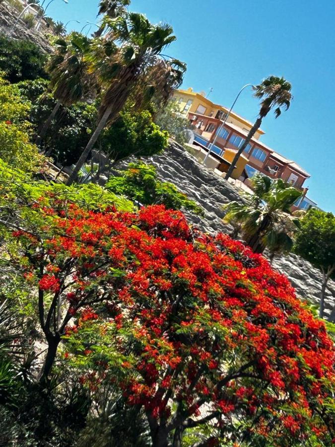 Villa Natali ,Luxury 3-Levels Large Villa On Tenerife, Ocean View, Private Poo L& Barbecue Area Costa Adeje  ภายนอก รูปภาพ